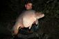 Preview: Fifty Fish-Buttercream 10 kg (Grundpreis 5,95 Euro).